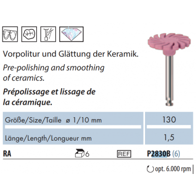 Porcelain Polishers 