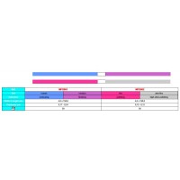 MaxFlex Strips (MFS001-MFS002)